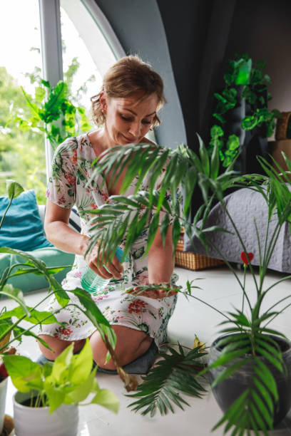 istock Plants inside the house help to purify the air 1266285115