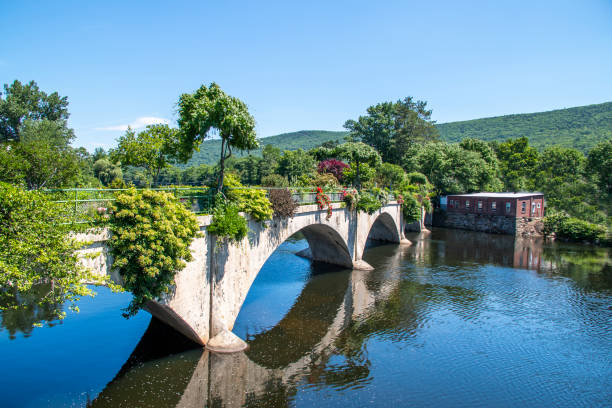 istock Bridge full of flowers going over a river 1266285415