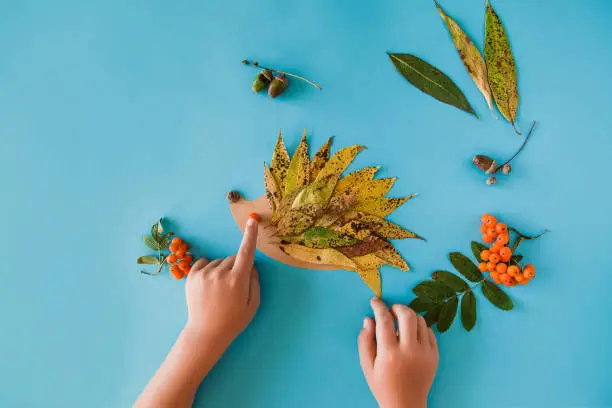 Photo of Little child making autumn decoration from leaves and forest berries. Children's art project. DIY concept. Step-by-step photo instruction.
