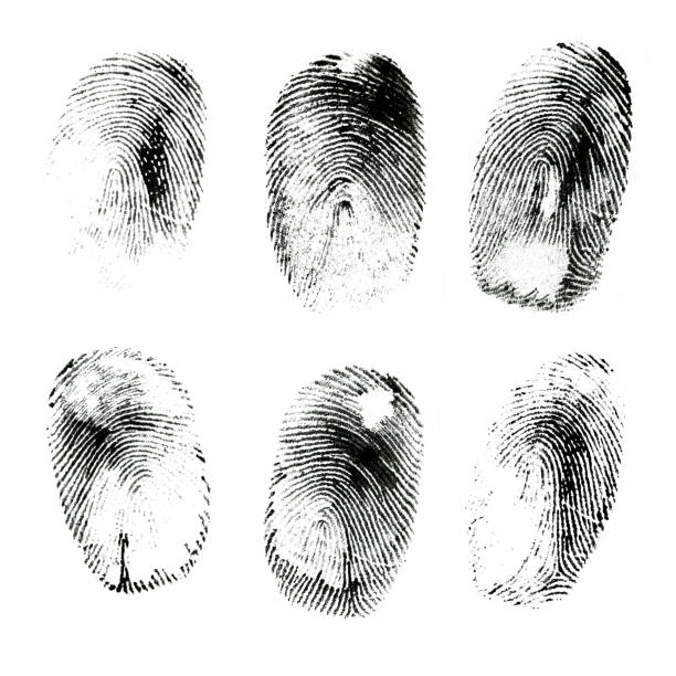 verschiedene schwarze tinte menschlichen fingerabdrücke - fingerabdruck fotos stock-fotos und bilder