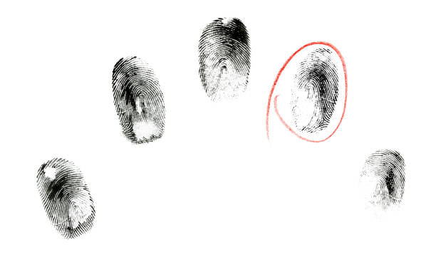 istock Black ink human fingerprints on white background 1266289565