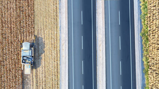 istock Aerial view of corn field during harvest 1266292203