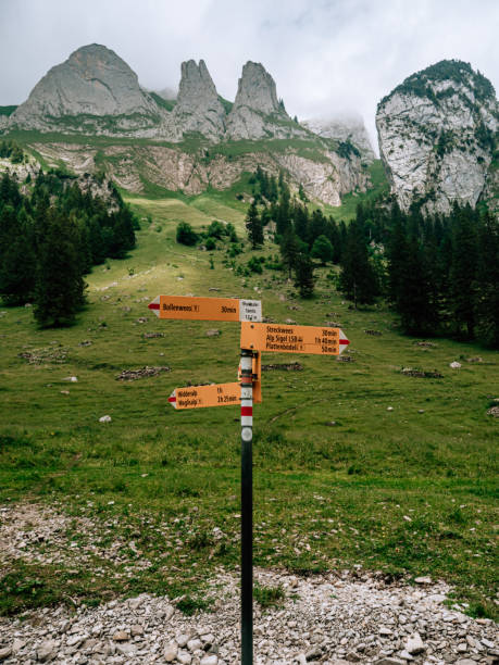 istock Directional signs on mountain trail 1266292390
