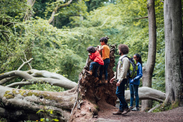 istock The World is a Playground 1266295120
