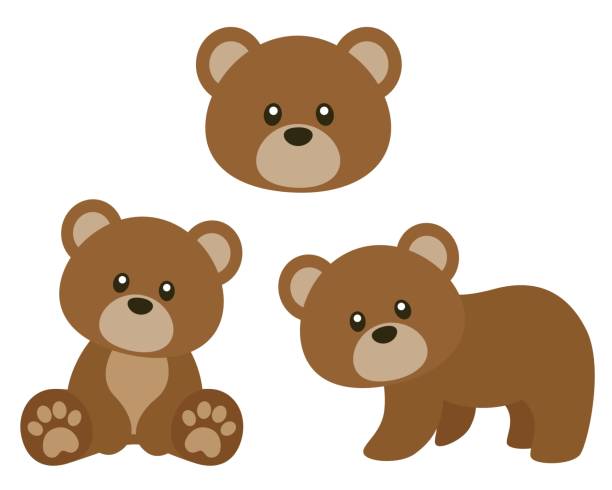 süße braune bär vektor illustration set - bärenjunges stock-grafiken, -clipart, -cartoons und -symbole