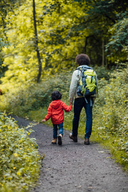 istock Woodland Trail Exploration 1266296248
