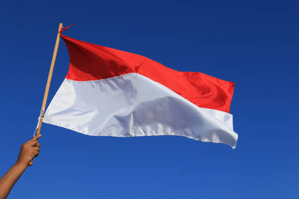 Elementary school children salute the Indonesian flag to commemorate Indonesia's independence day during the COVID 19 pandemic