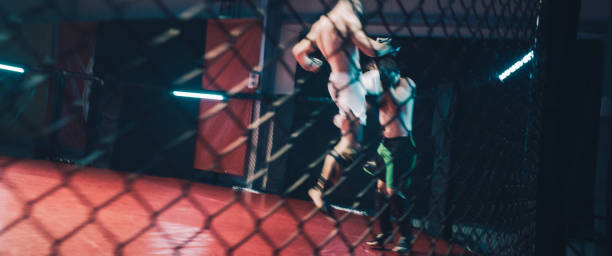 MMA fights in octagon. Training fight.