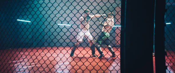 istock MMA fighters throwing punches in octagon. Knockout 1266297885