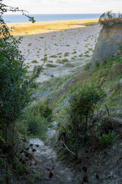istock footpath to beach and sand dunes at Lowestoft Suffolk 1266297999