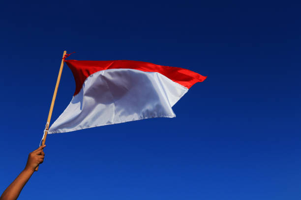 istock Elementary school children salute the Indonesian flag 1266298749