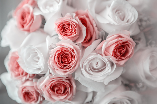 Bouquet of delicate pink and white roses close up