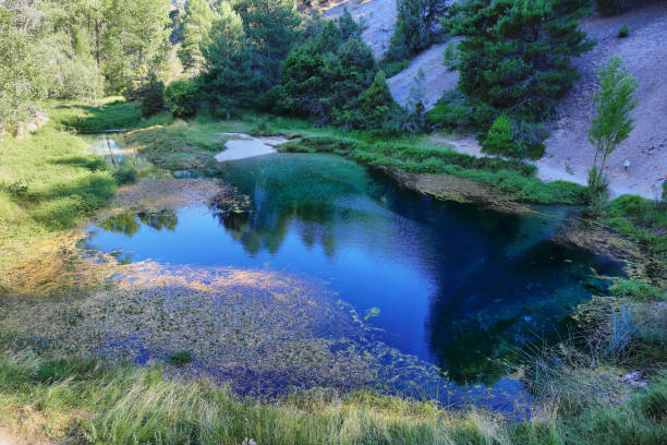 istock natural source of fuentona in soria, Spain 1266299218