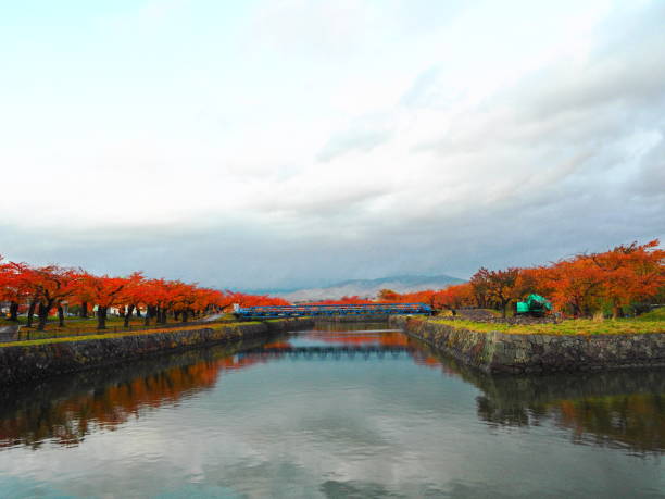istock Autumn leaves in Goryokaku Park 1266301861