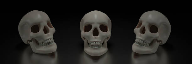 istock Human skull model, clean skull head, placed on a shiny surface, and a black background. 3D Rendering 1266303118