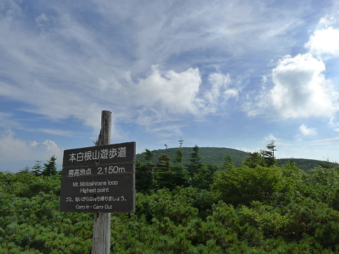Mt. Motoshirane (Kusatsushirane) is one of the 100 famous mountains in Japan (Hyakumeizan)(百名山), which is located in Joshinetsukogen National Park. It is an active volcano.