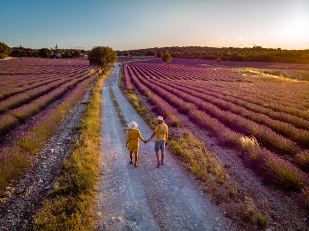 istock Lavender fields in Ardeche in southeast France 1266304833
