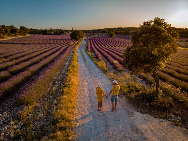 istock Lavender fields in Ardeche in southeast France 1266304961