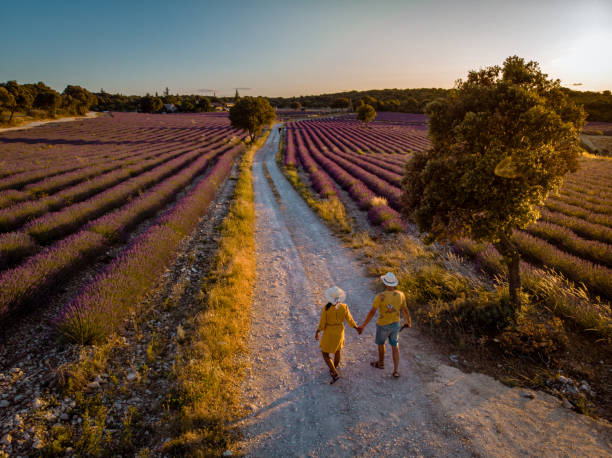 istock Lavender fields in Ardeche in southeast France 1266305013