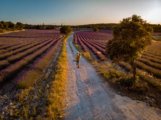 istock Lavender fields in Ardeche in southeast France 1266305047