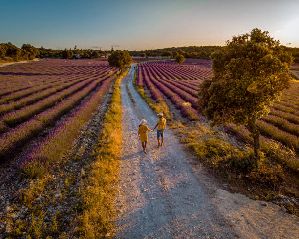 istock Lavender fields in Ardeche in southeast France 1266305607
