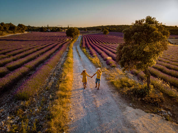 istock Lavender fields in Ardeche in southeast France 1266305651