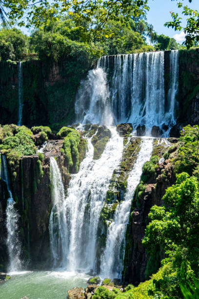 cachoeira do iguazú - iguazú - fotografias e filmes do acervo