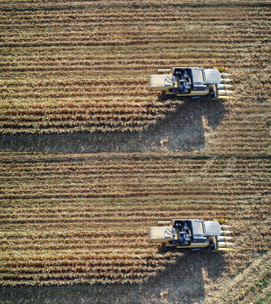 istock Aerial view of corn field during harvest 1266307387
