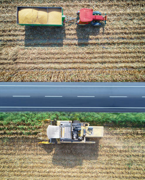 istock Aerial view of corn field during harvest 1266308551
