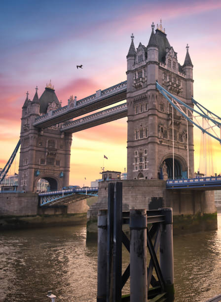 istock Tower Bridge crossing the River Thames in London, UK 1266308838