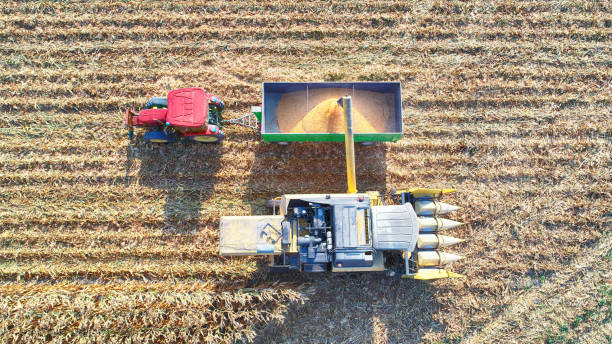 istock Aerial view of corn field during harvest 1266311422