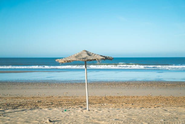 Hotel beach in tropical climate. Single straw umbrella