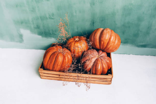 istock Large orange pumpkins on a green background. 1266312547