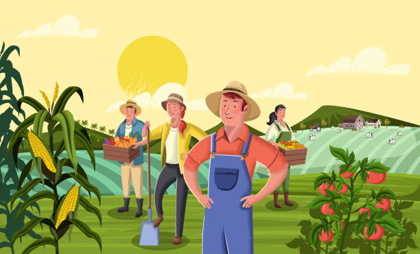 Cartoon farmer in front of colorful farm with barn Cartoon farmer in front of colorful farm with barn, crops and cows. farmer stock illustrations