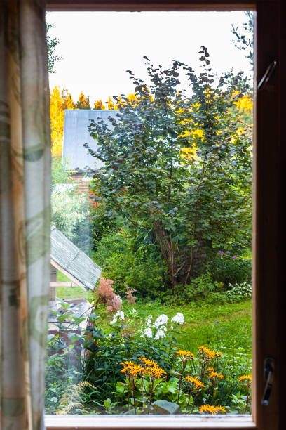 istock view of yard with well through window in cottage 1266313903