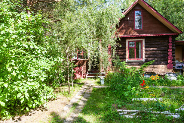 istock front view of rural yard and russian log house 1266313907
