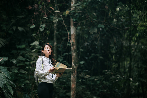 female hiker pauses to look upwards into forest