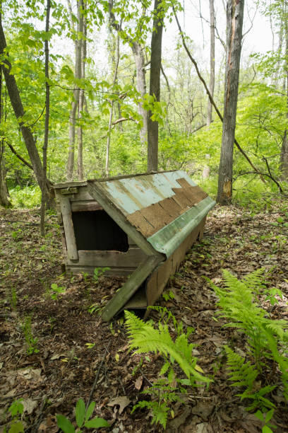 istock Abandoned Dog House 1266316389