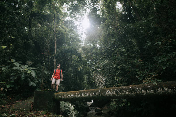 istock Asian chinese smiling handsome young man exploring in the rainforest jungle 1266316415