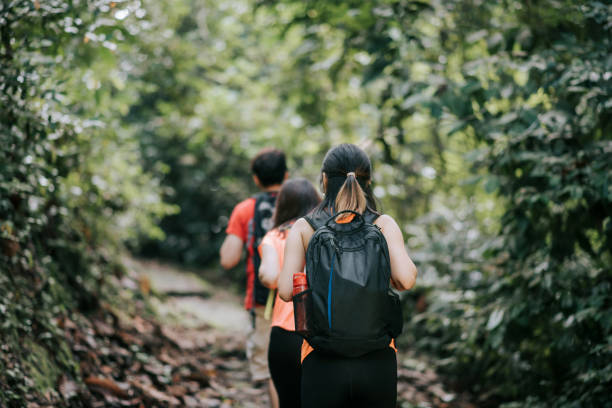 Rear view of three chinese friends exploring and jungle trekking stock photo