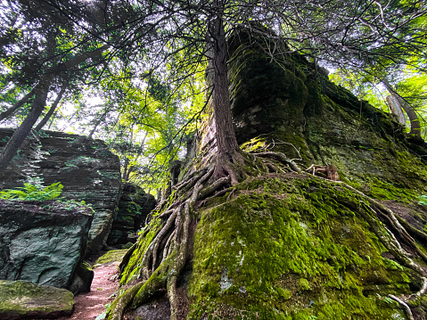 Ancient, large rock formations in panama New York at Panama Rocks Scenic Park, western New York, Southern tier.
