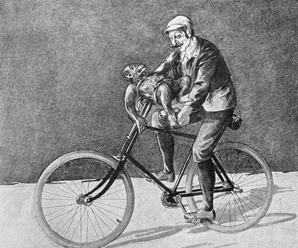 Driving bicycle with a monkey on the handlebar Illustration from 19th century penny farthing bicycle stock illustrations