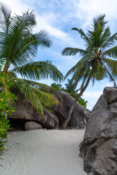 istock silver source cove beach the island in Seychelles 1266322276