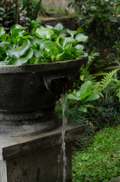 istock Water flowing water falling into the pond 1266322646