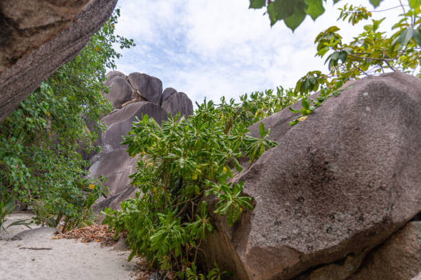 On capricorn beach in Caraguatatuba beautiful sculptural stones