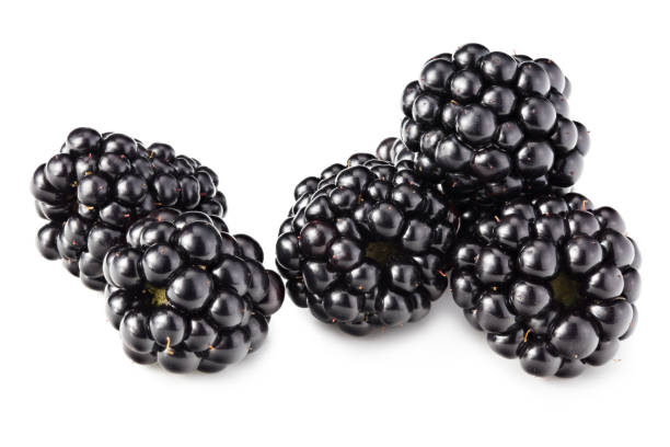 istock blackberries isolated on white background. healthy background. macro 1266325352