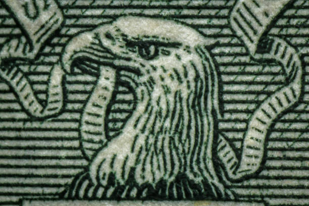 Eagle Dollar Macro Macro closeup American currency dollar bill eagle dollar bill eagle stock pictures, royalty-free photos & images