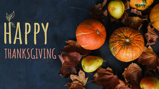 Pumpkins, pears and autumn leaves on dark backdrop. Holiday banner. Thanksgiving day concept.