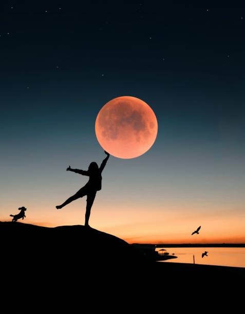 月、女性と犬、血まみれの月、月に触れる - super moon ストックフォトと画像