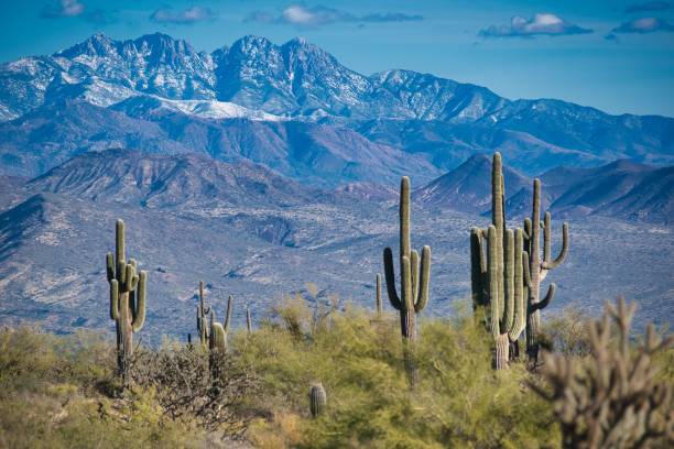 istock Four Peaks Tonto National Forest 1266340564
